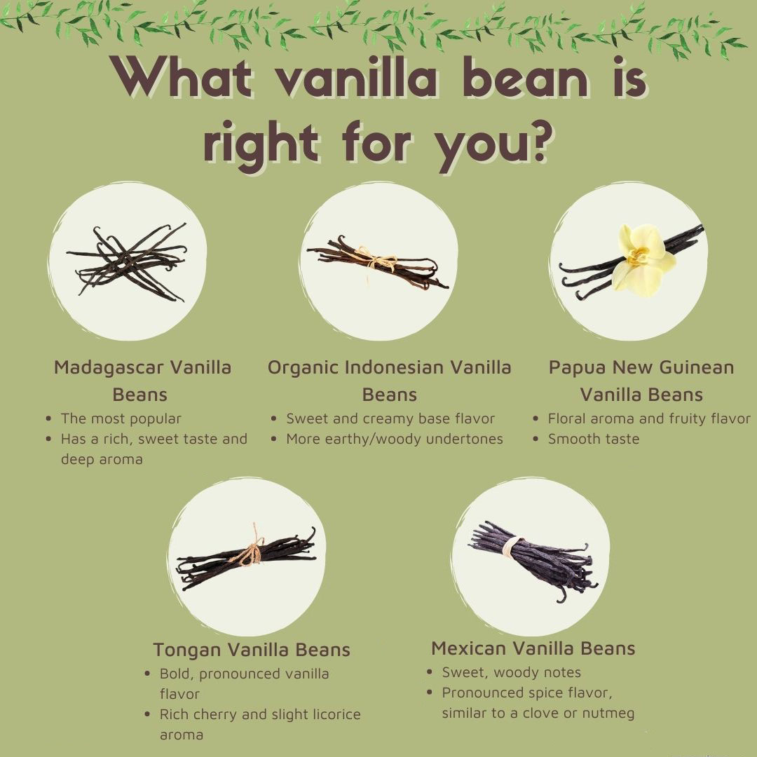 what is the difference between different vanilla bean types